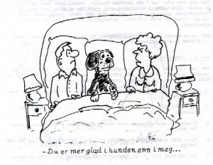glad i hund