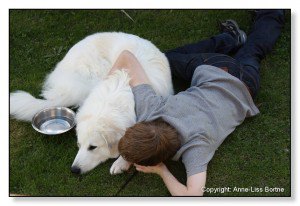 Image000002