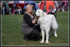 Trondheim Hundefestival, 29.mai 2011 Trondheim Hundefestival, 29.mai 2011