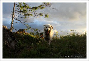 Image00167