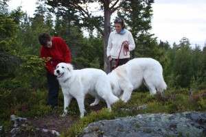 På tur i skogen